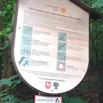 Burgberg-blick Bad Harzburg