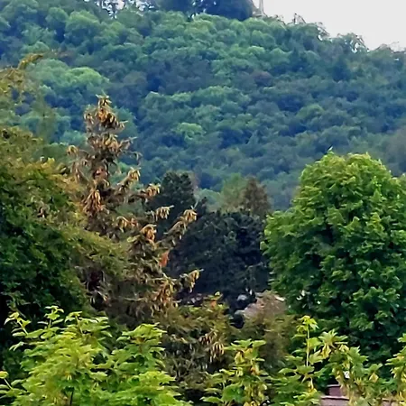 דירה Burgberg-blick