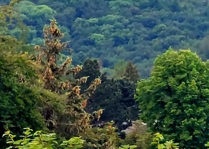 Apartamento Burgberg-blick